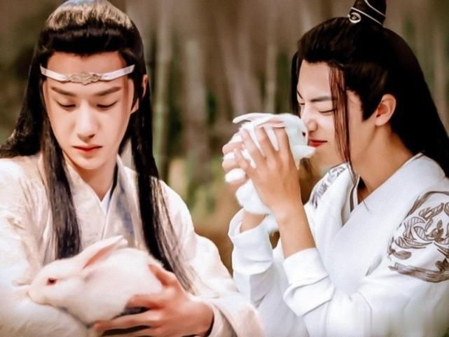 我们磕过的“双男主”电视剧，每
