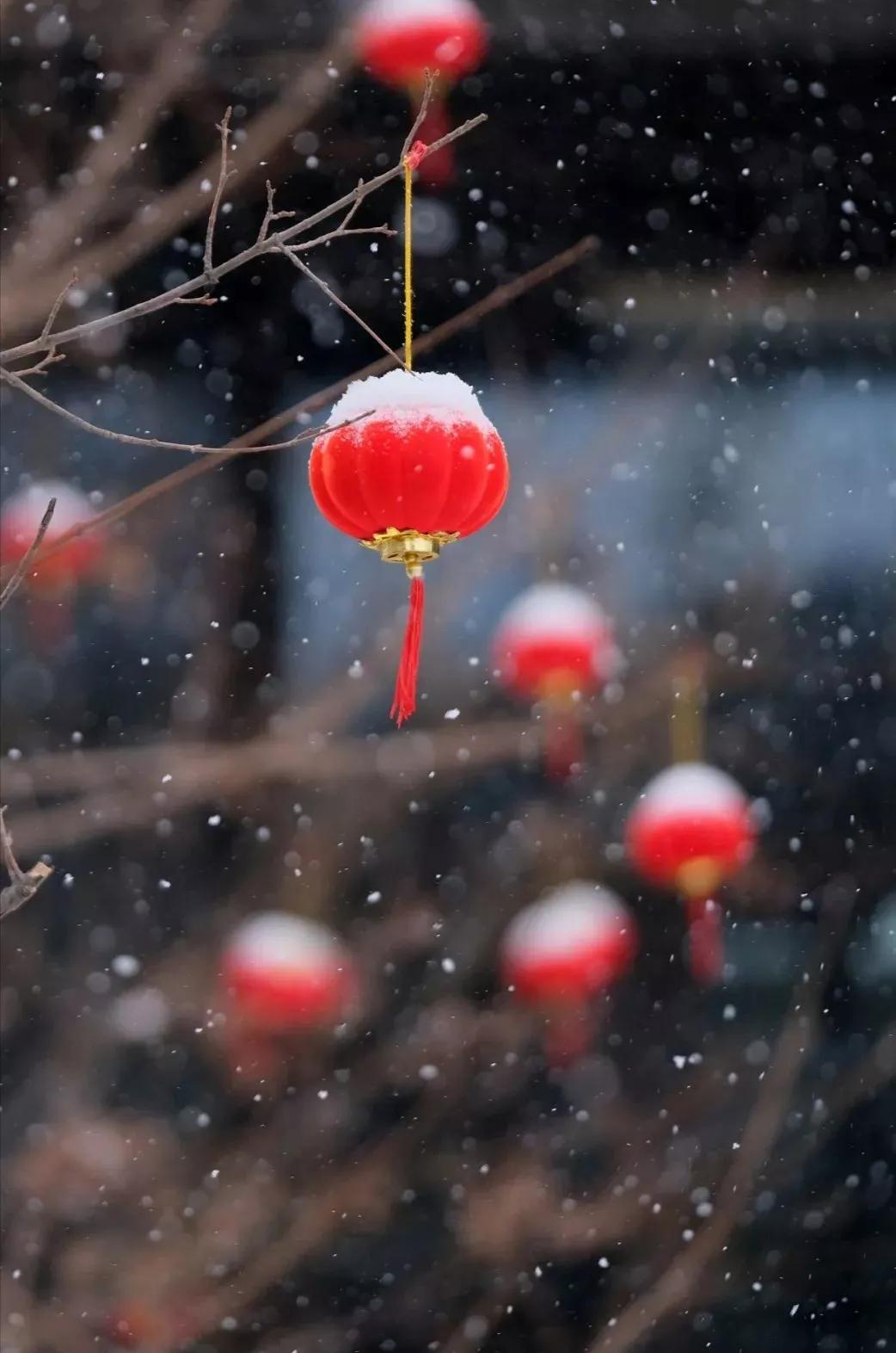 正月十五闹元宵，红灯高悬雪花飘。
笑逐颜开又一年，不忘传承燃鞭炮。
汤圆甜糯合家
