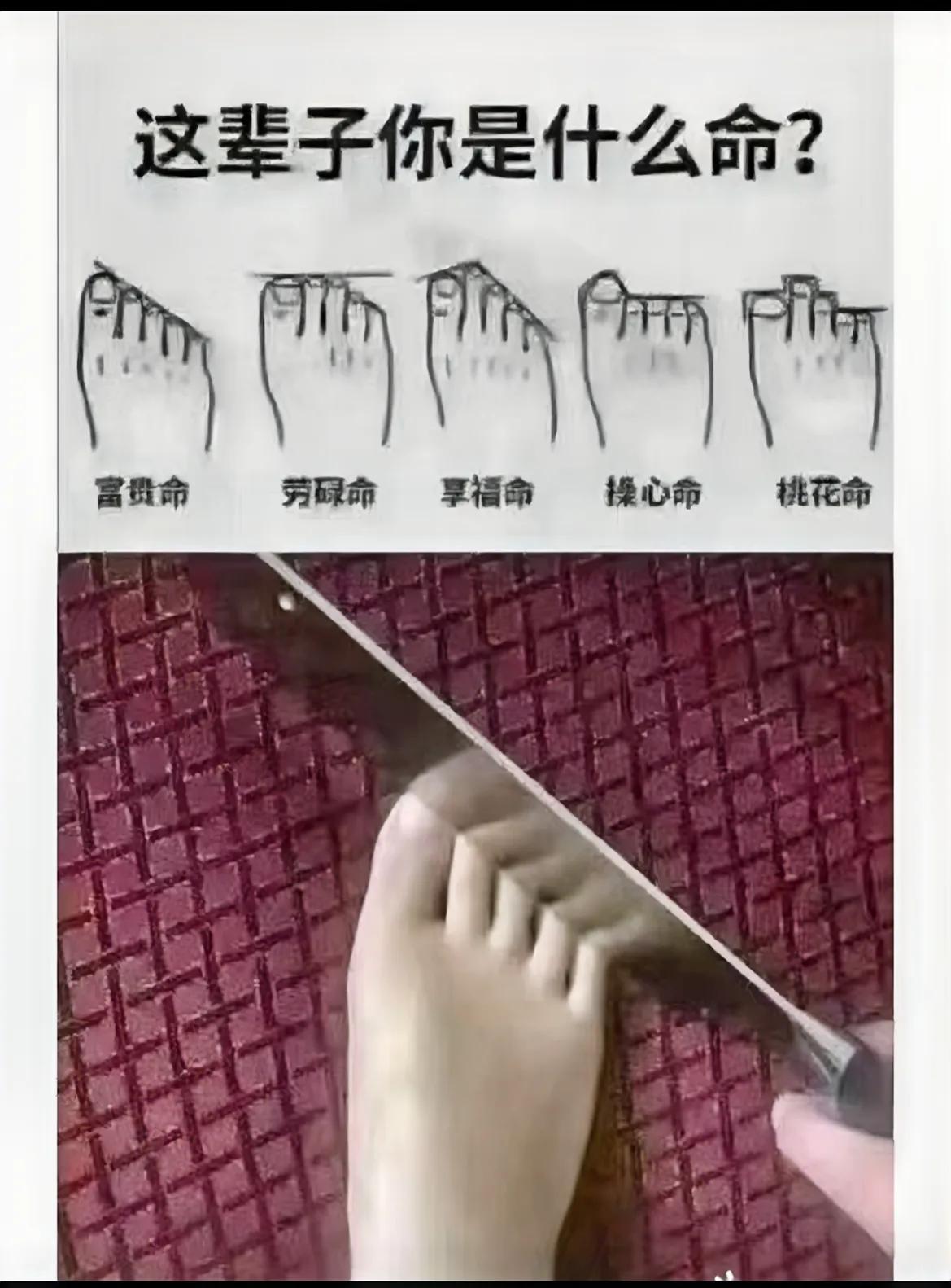 这辈子你是什么命？