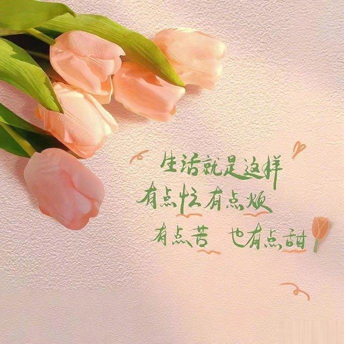 ❤️｜²⁰²³🍧ˎˊ˗ 𝐘𝐞𝐞𝐞𝐞 ✌︎生活就是这样 有点忙 有点烦