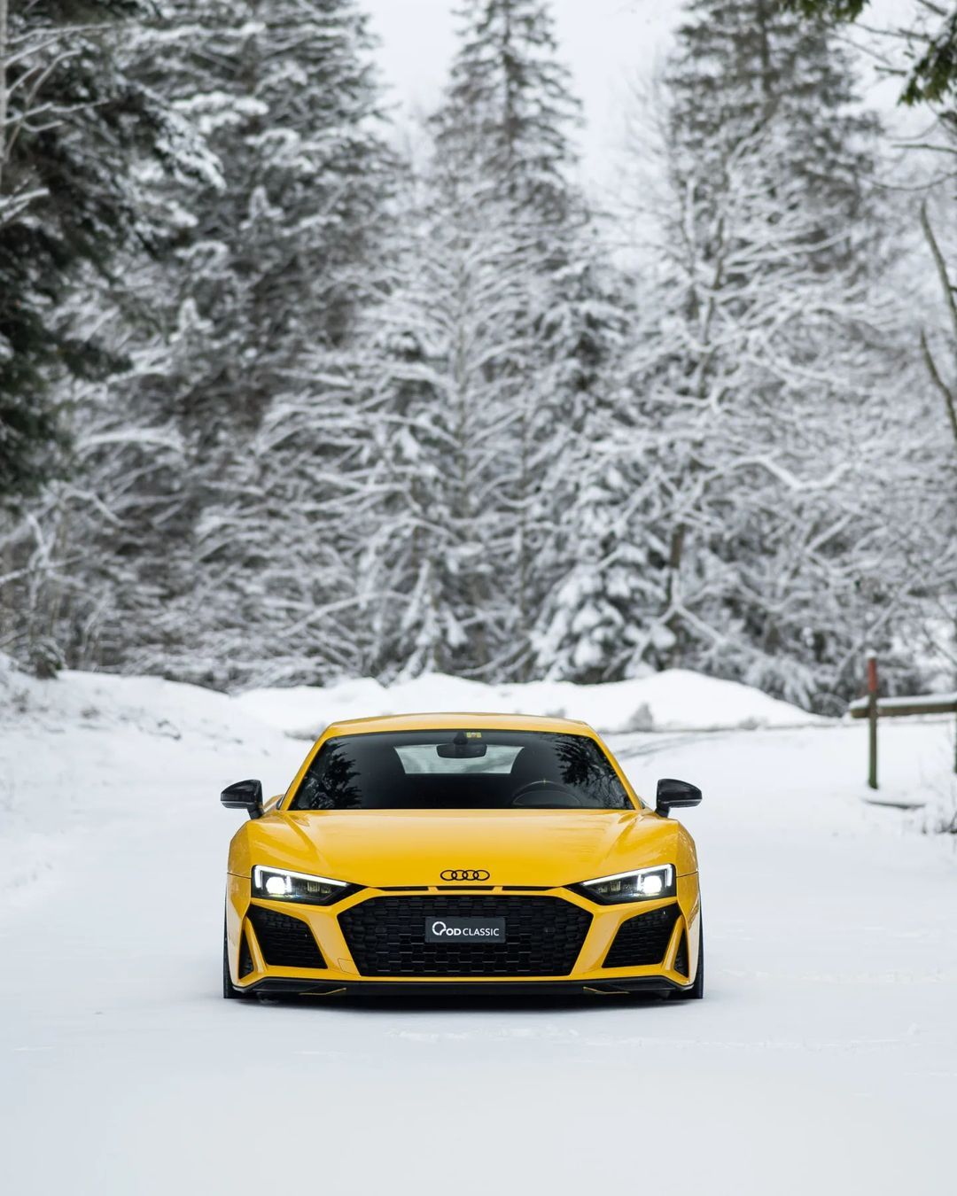 奥迪 R8 V10 Performance ​​​