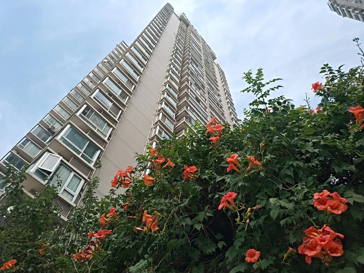 今天中秋节，出去买菜和水果，路上风景不错[呲牙][呲牙]

中秋节起源于上古时代