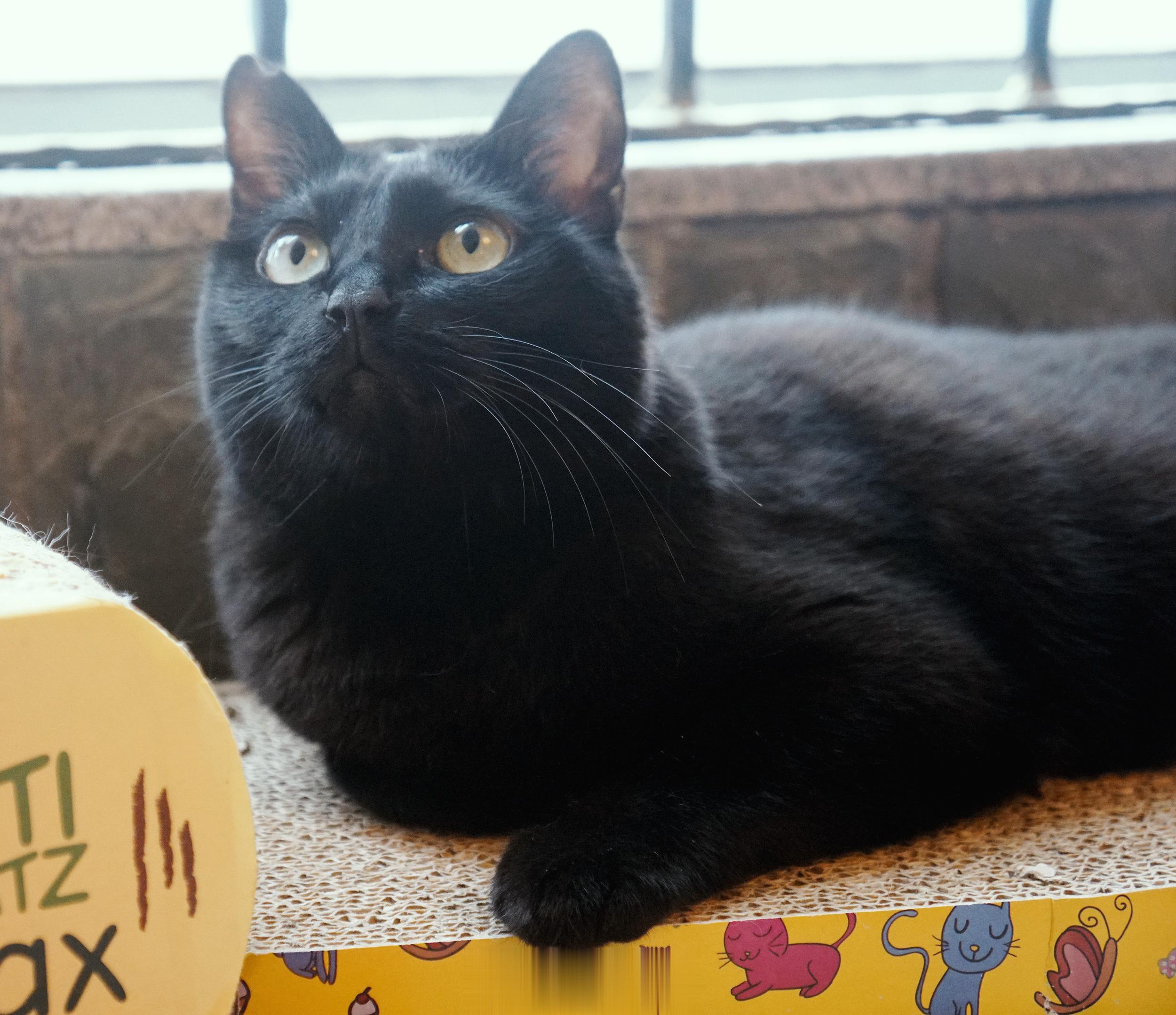 嘴嘴&鼻孔都可愛。 ​​​