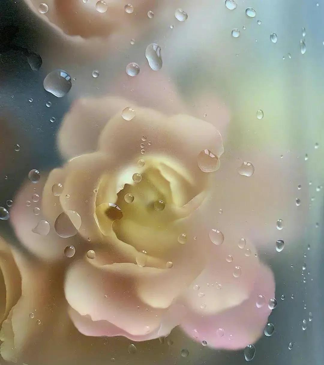 “ 雾里看花 … ” ​ ​​
  