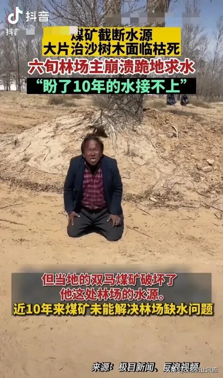 不是没有人办实事，而是办实事的人都心灰意冷啦。

看看这个治沙人，人家种了那么多