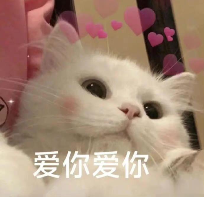 狮子座 天秤座 双子座这几个星座就是典型的重度颜控，能让他们心动的永远是俊男美女