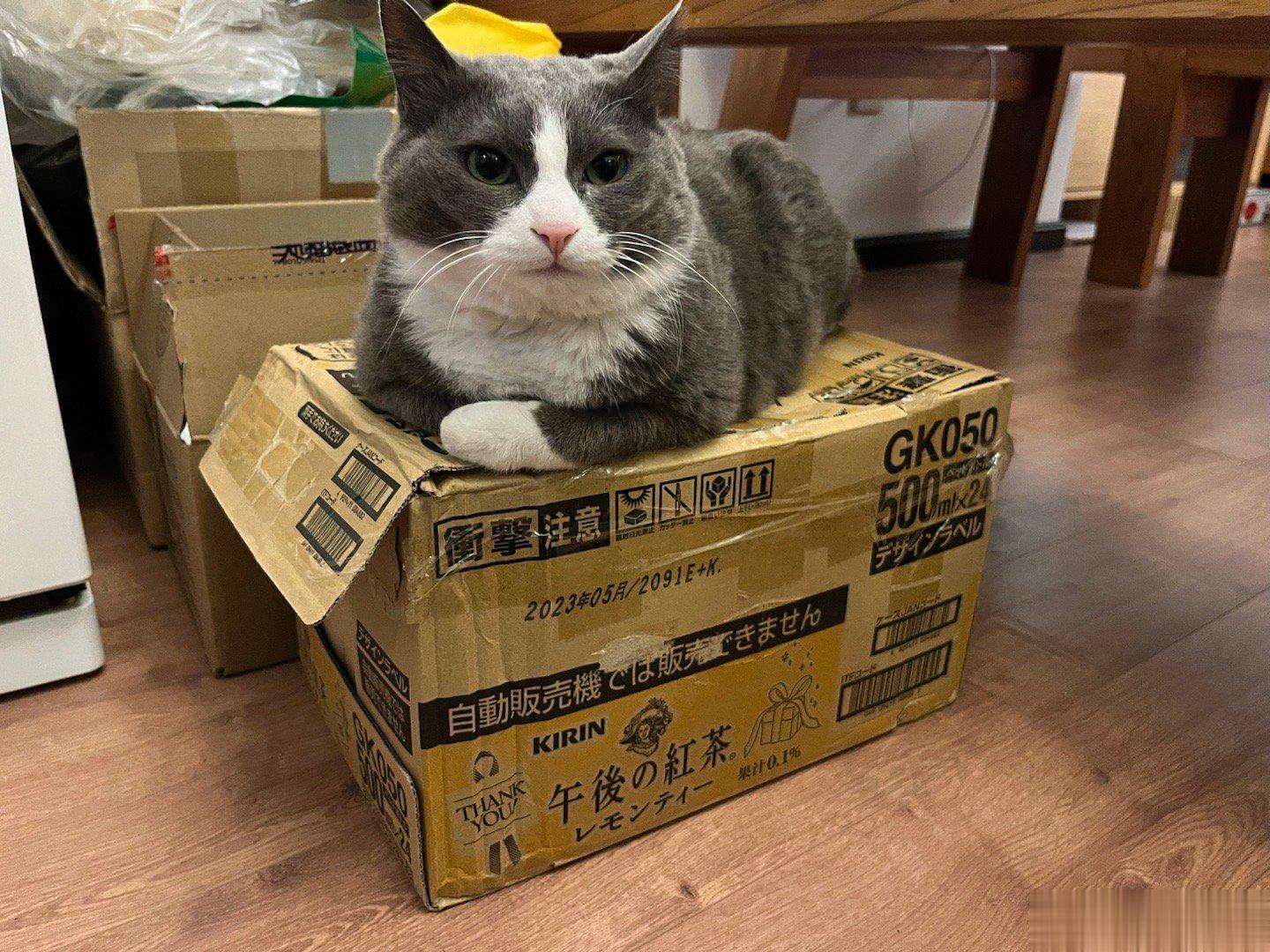  孵蛋 ​​​