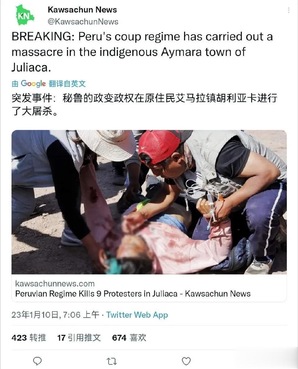 秘鲁左翼反美总统佩德罗·卡斯蒂