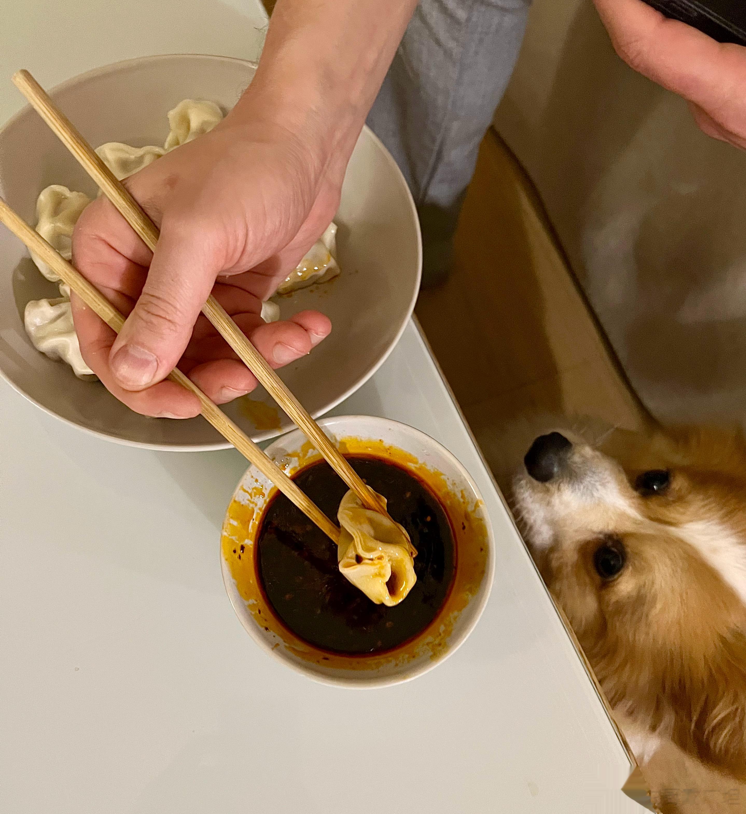 晚上肚子饿煮了点饺子吃，老婆看到我倒的蘸料的量说我太奢侈，这点饺子根本用不了这么