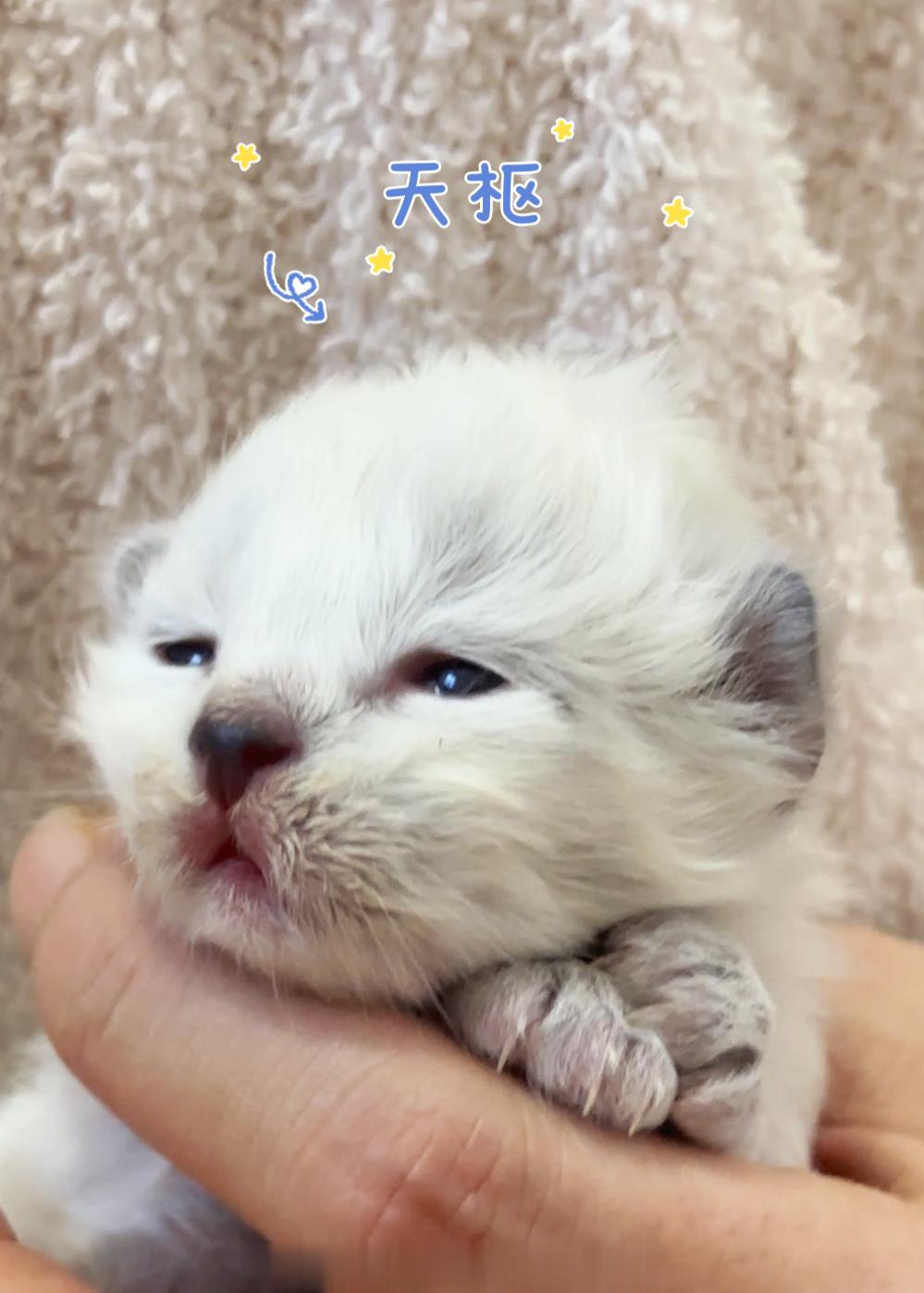 哇哇哇～看看都有谁睁眼啦 ​​​