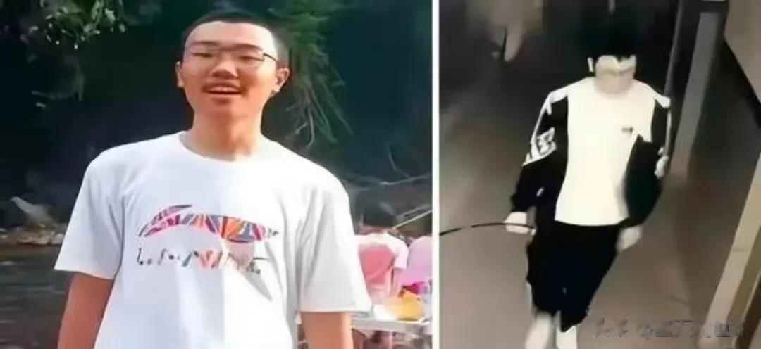 胡鑫宇找到了，可惜的是找到是一具冰冷的尸体，吊死在山林中，在尸体旁边还找到一个录