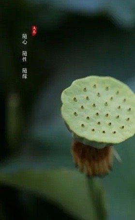 世间事，人生情，看开随意，看淡无虑。心若不在，何必强求；人若不爱，何必强留。学会