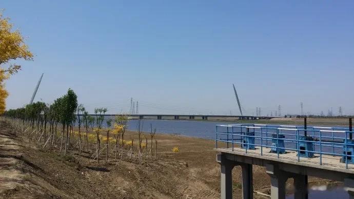 天津买房三大坑：团泊湖（静海）、天嘉湖（津南）、东丽湖[捂脸]不服来辩[吃瓜群众