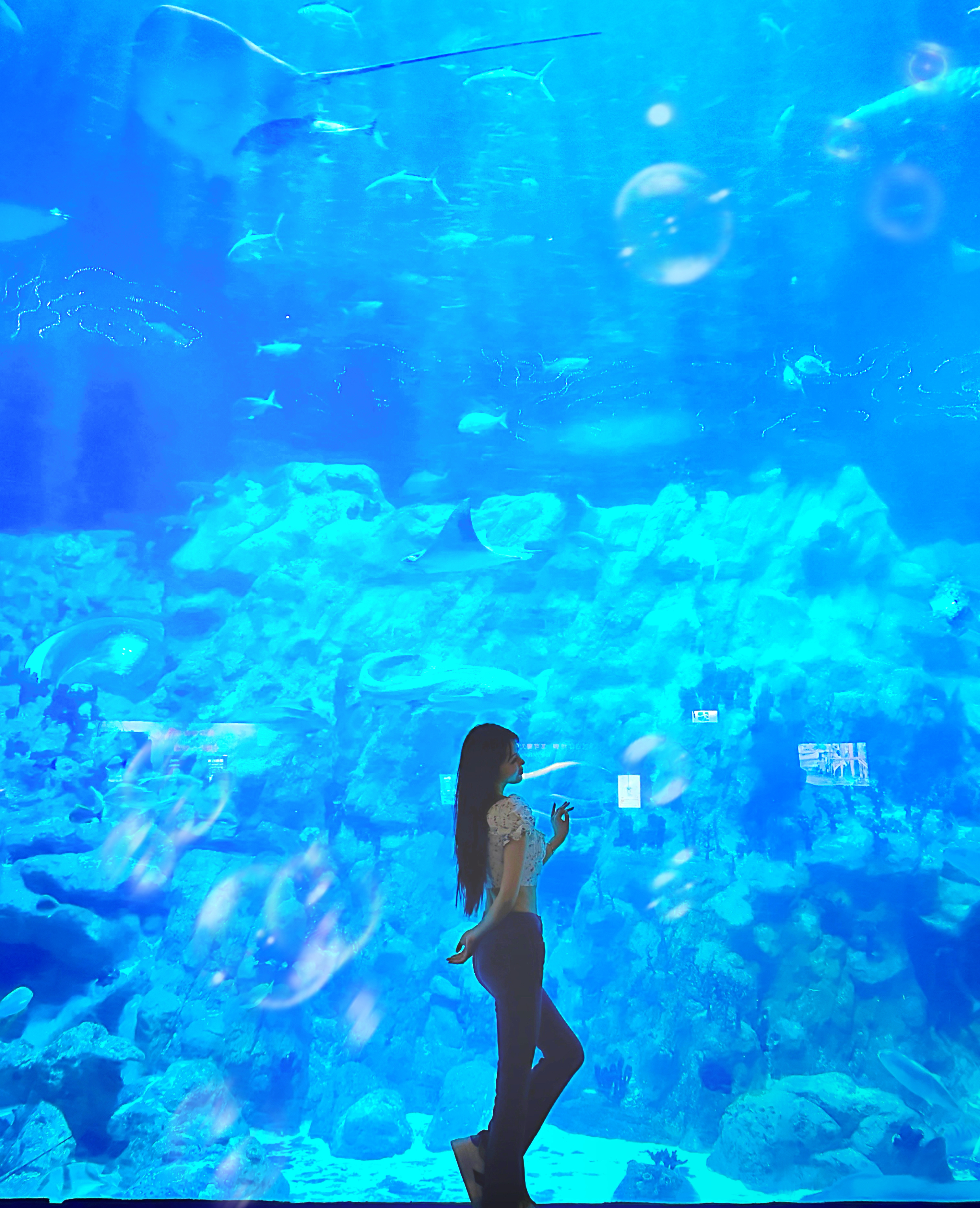 林深时见鹿，海蓝时见鲸🐬  ​​​