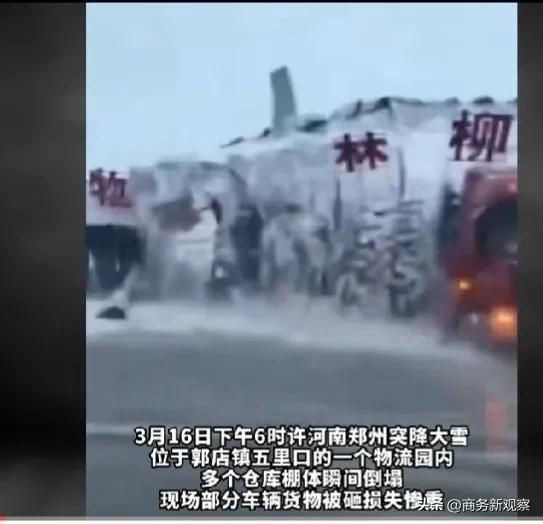  这能怪雪吗？至少我觉得不应该将问题全都归咎于大雪身上吧！纷飞的大雪可能是引起此