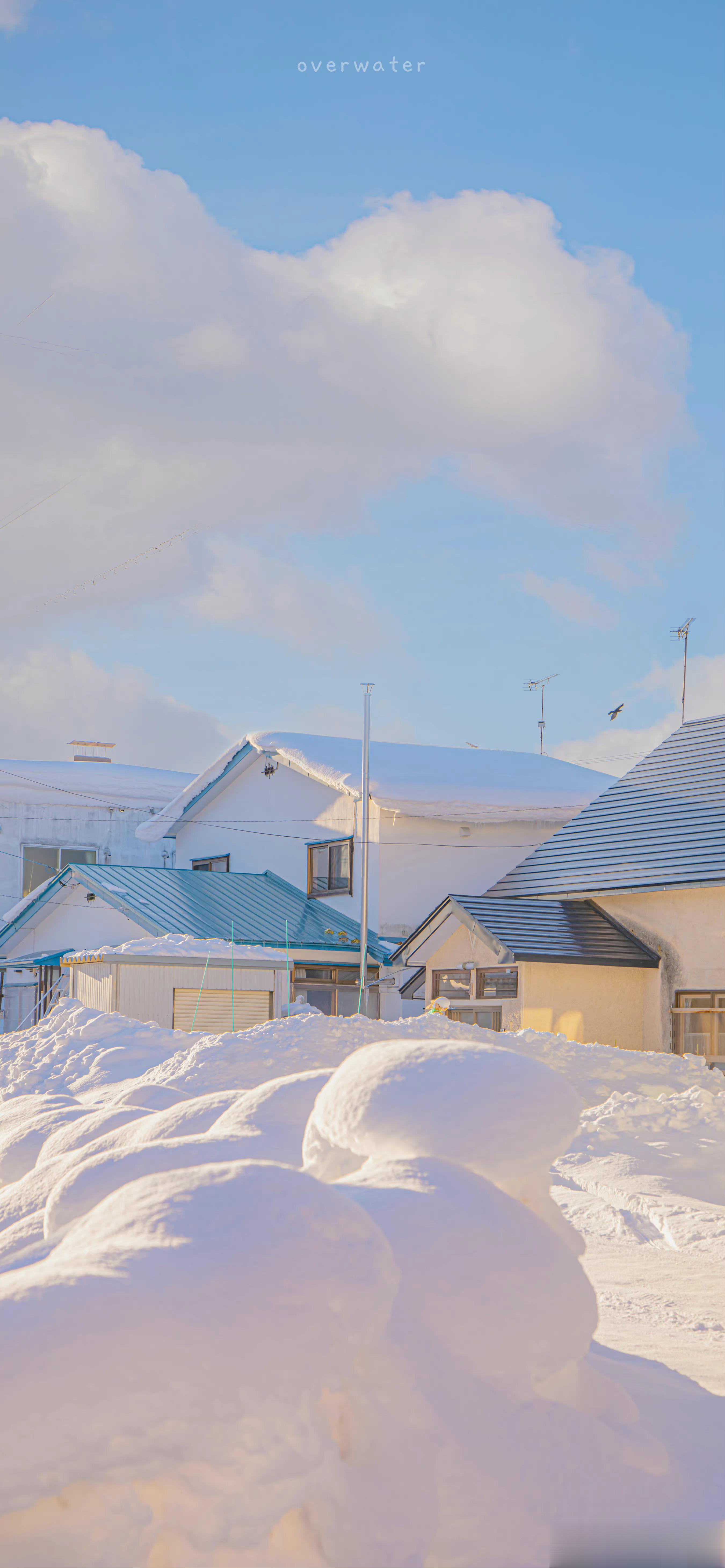 #阳光信用##每日一善#雪晴 