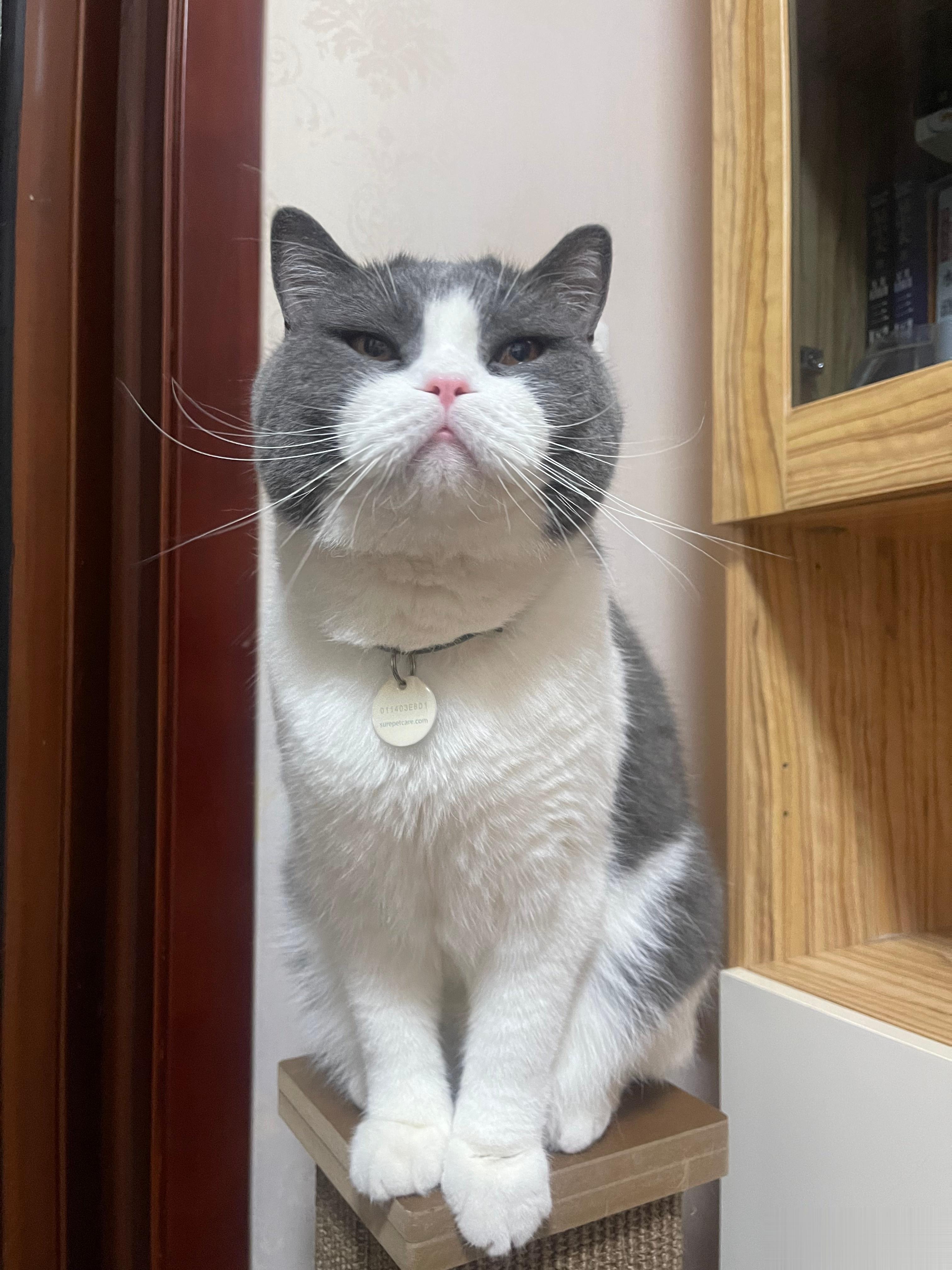  憋说话，💋💋💋 ​​​