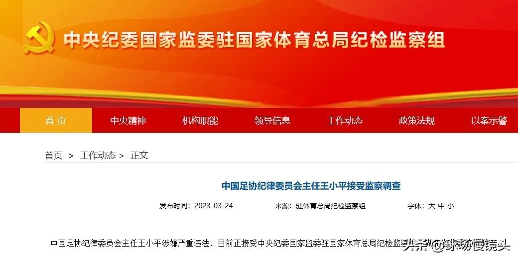 一窝端了？

中国足坛就是个笑话，每次球员，俱乐部被处罚，都是王小平签字确认！现