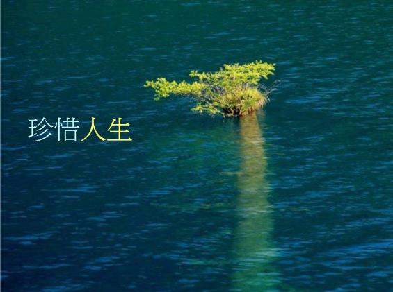 
       这是一个非常主观的问题，因为不同的人对于人生的意义和价值观可能会