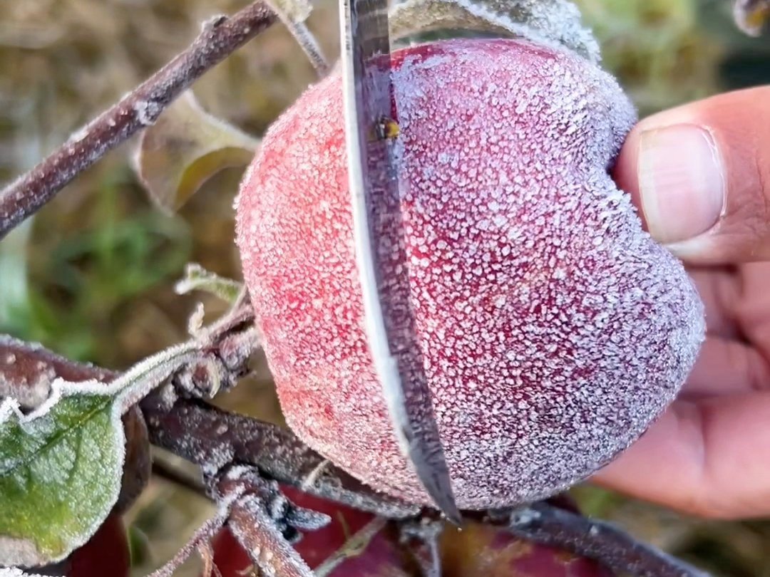 真的是活到老学到老啊。。。。。这个世界癫才是本真 