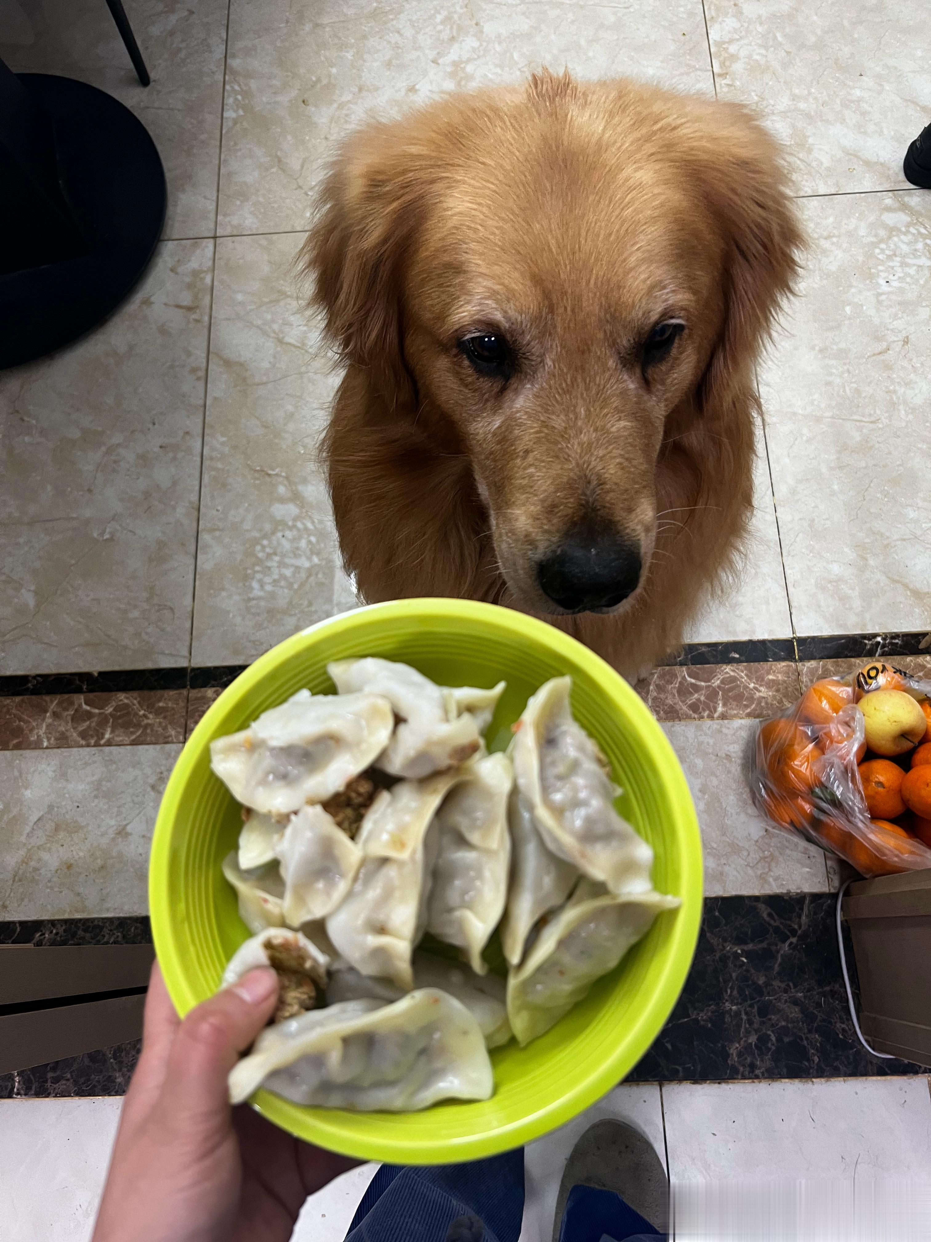 第一次种的西兰花，给狗子包了一顿牛肉西兰花胡萝卜饺子 ​​​
