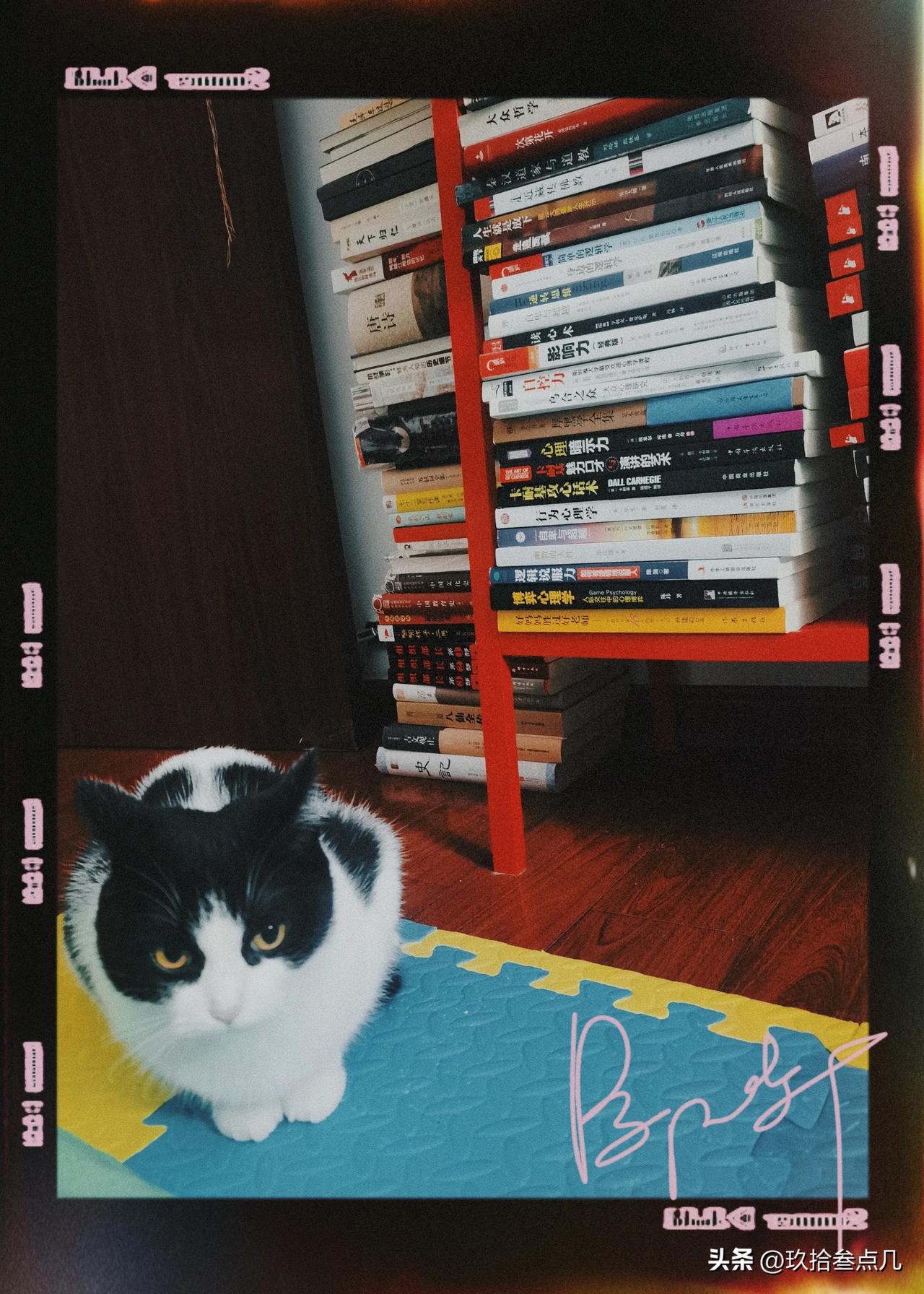 坚持读书不为别的，只为自己能拥