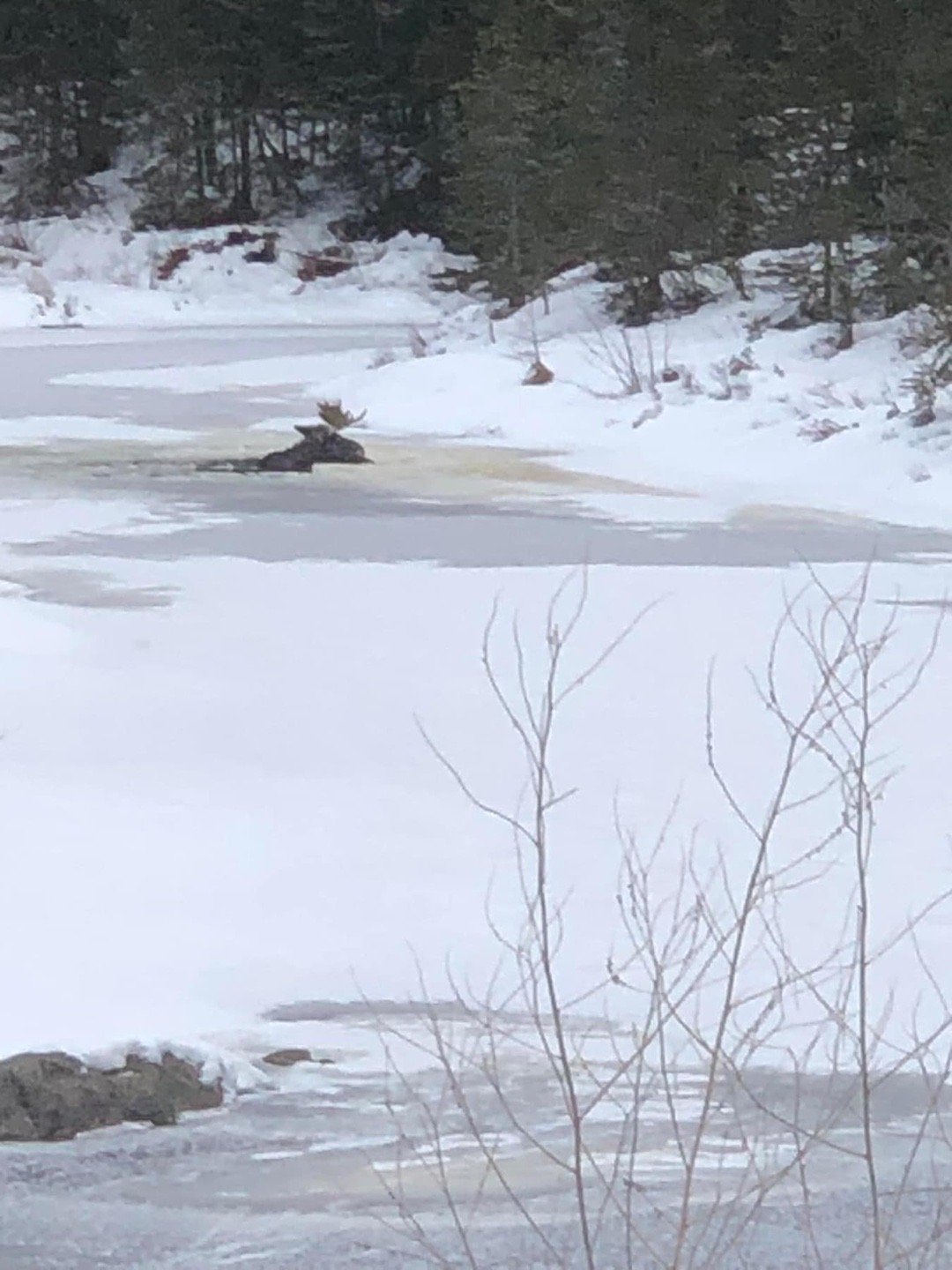 非常的加拿大 ​​​