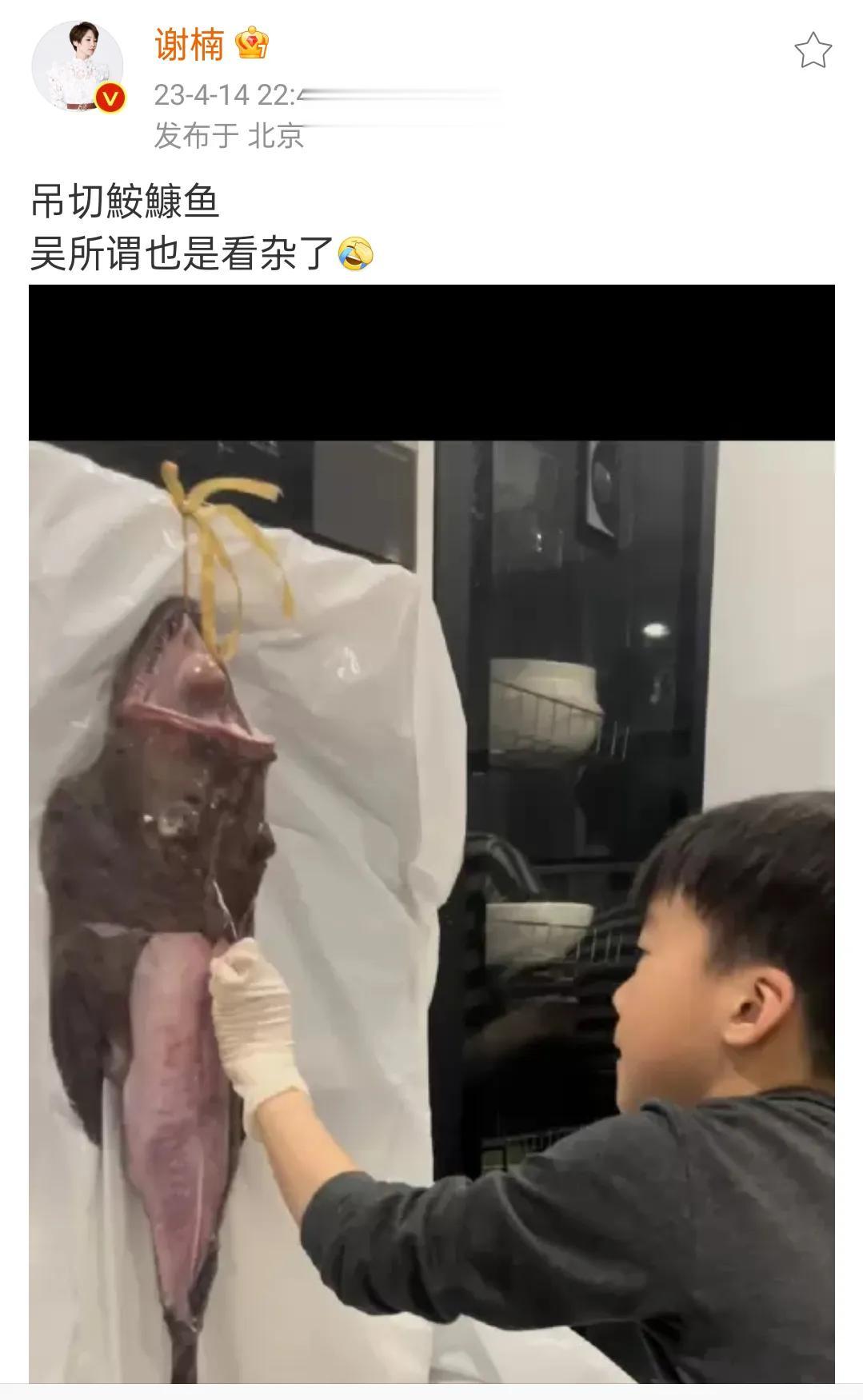 吴京的大儿子吴所谓真的是艺高人胆大

4月12号吴京老婆谢楠分享了大儿子吴所谓的