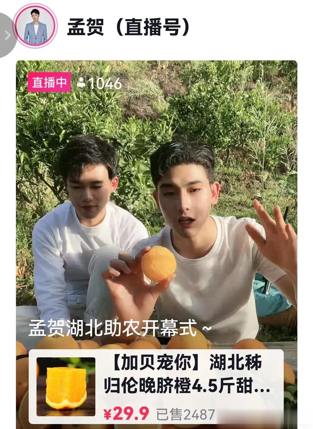 妈呀，今天全网卖橙子！是怎么回事？这都不用兰姐亲自出马了吗？几个编外人员就把孟贺