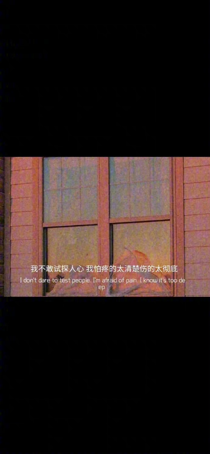  “永远喜欢并相信鲜花、诗歌、黄昏、音乐的永恒性，就算在浓稠的寒冬里，也能随时随