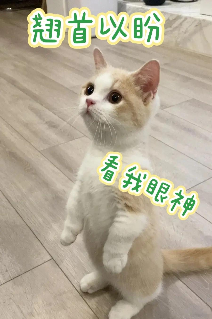 泰坦尼克号应该是我人生中重看次数第二多的电影，高低也有七八次了。（通常一部电影我