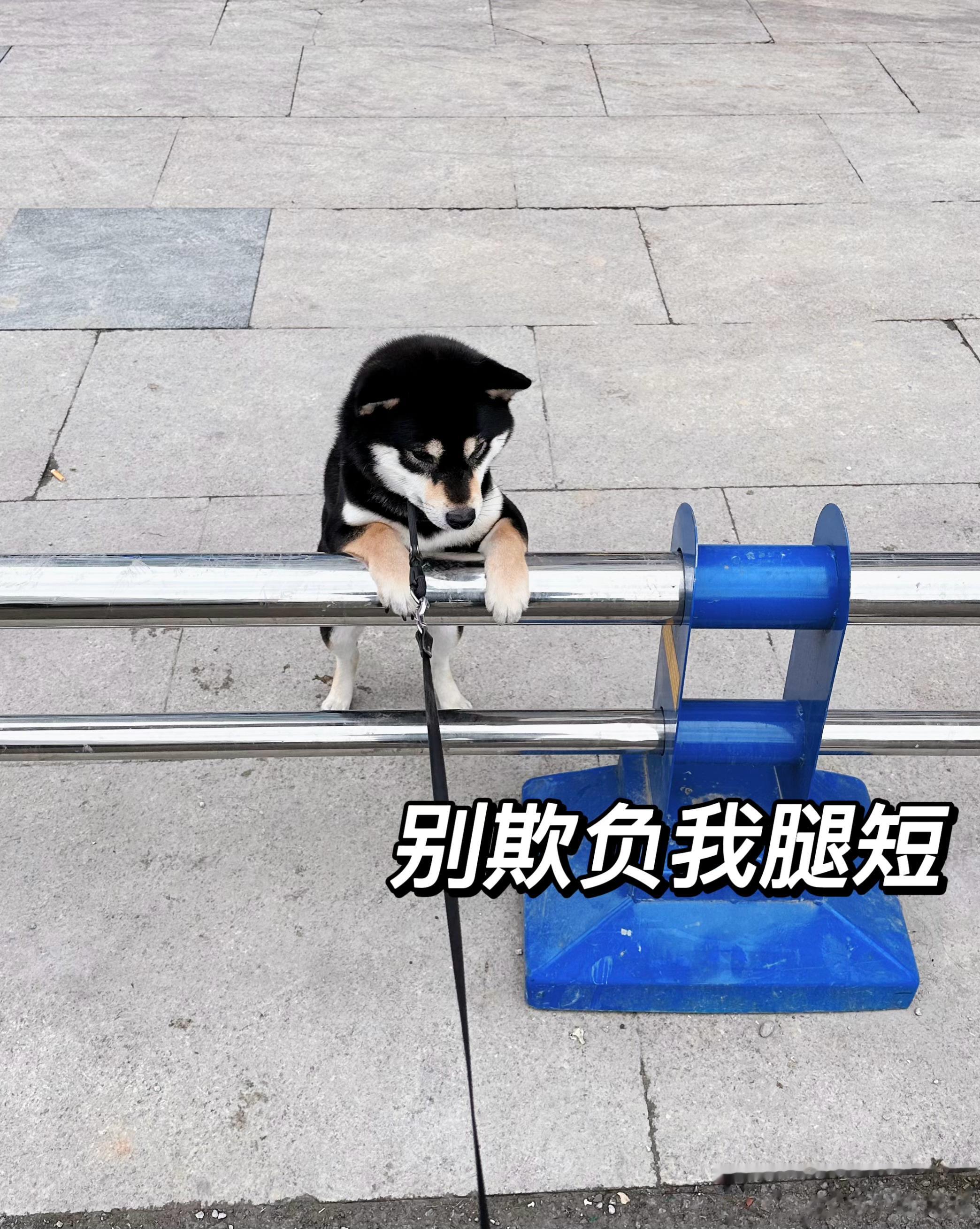  谁能帮帮窝窝 ​​​