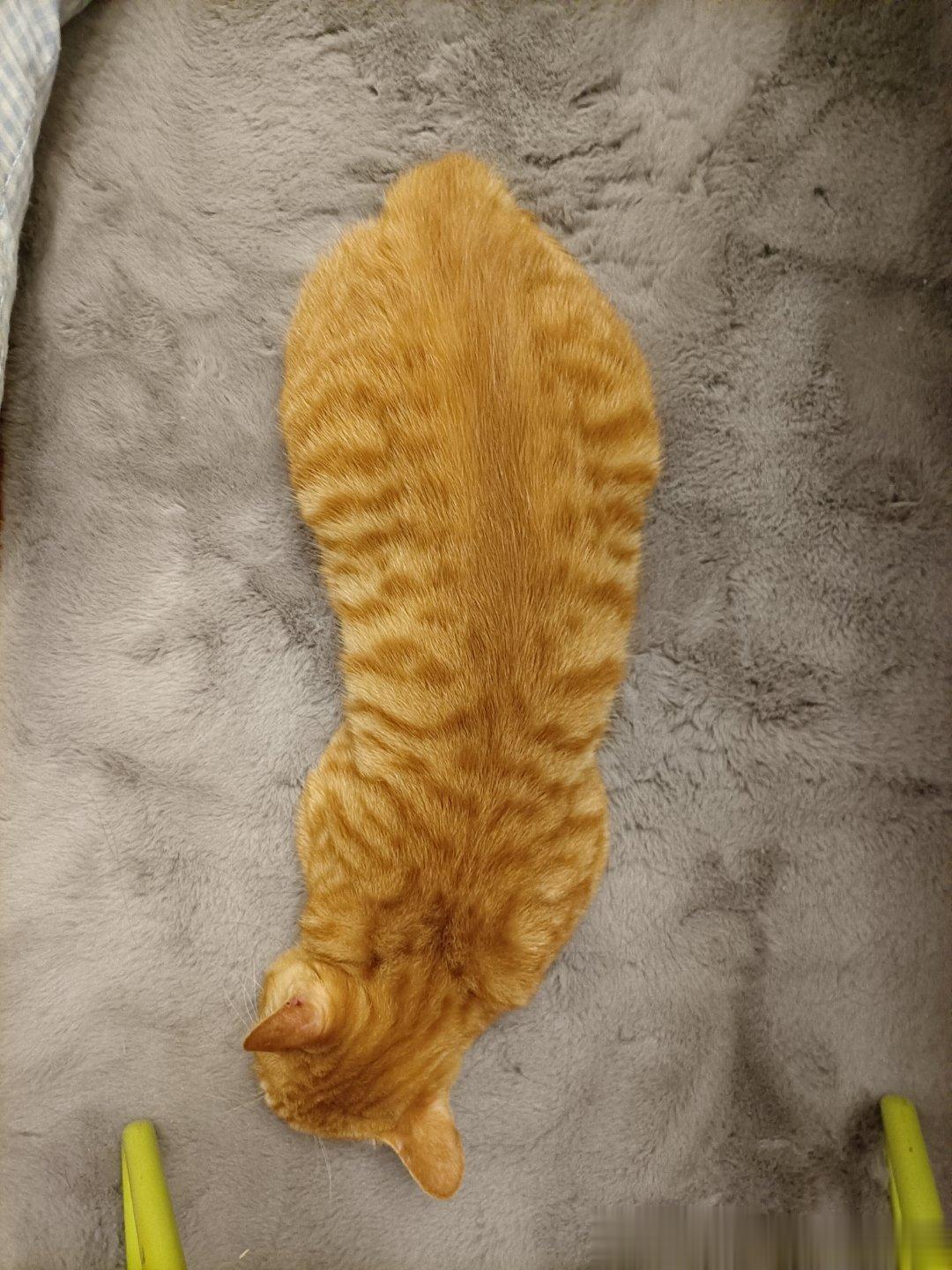  ​​​