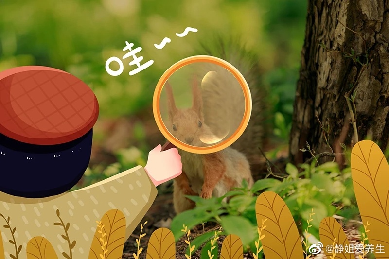  “肾精耗&木气弱”的小孩子，如何恢复木性，长高高？1、越会玩的孩子，越能恢复“