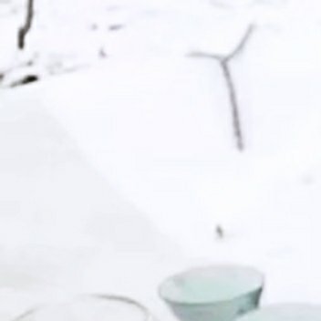 #熊猫守护者[超话]##阳光信用##每日一善# 煮雪如果真有其事，别的东西也可以