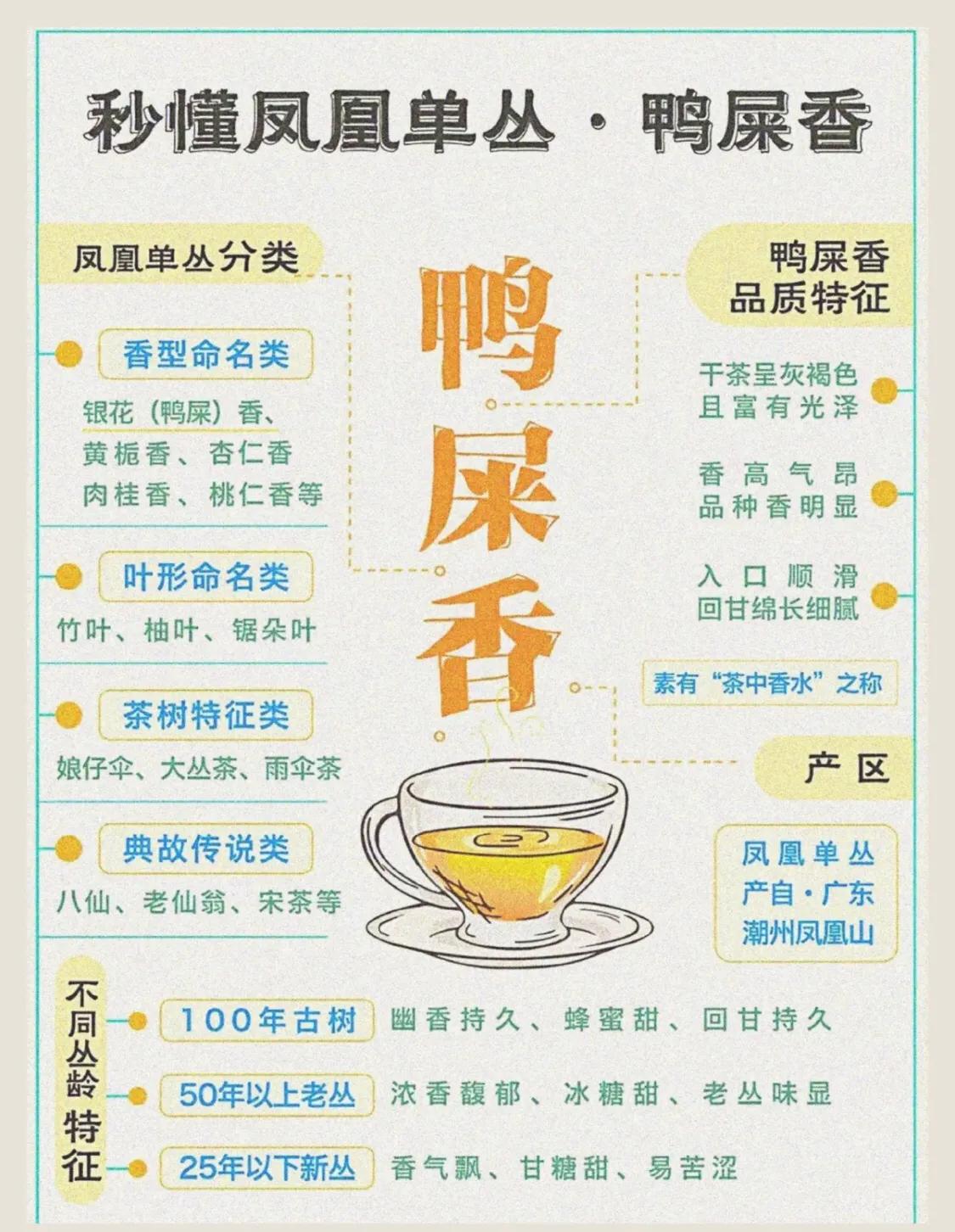 一篇文章让你了解凤凰单丛鸭屎香，简单易懂！
 