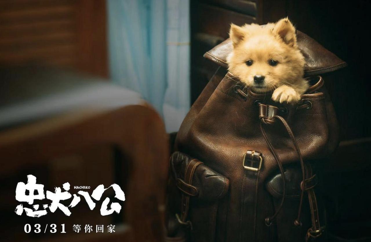 虽然翻拍的是日本的同名电影，不过这一版的电影在本土化的处理上做得真是无懈可击。生