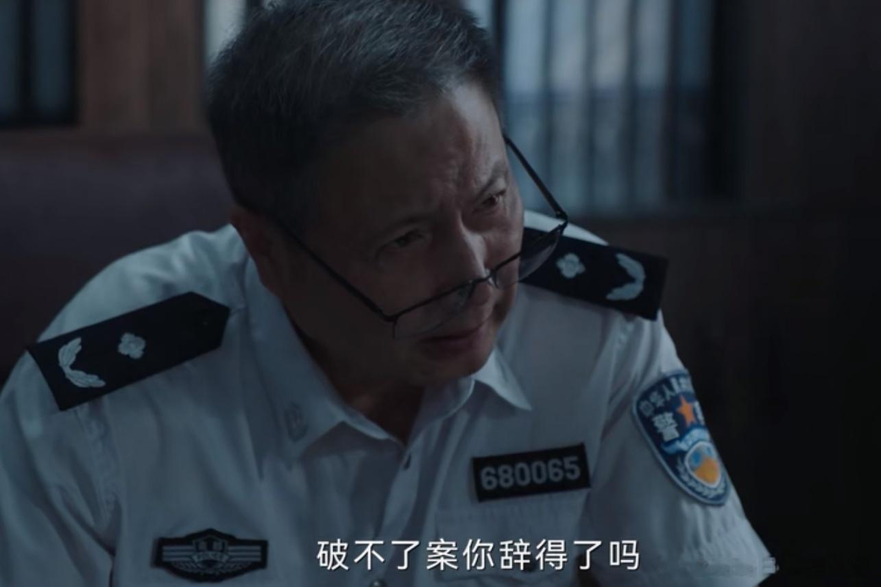亲戚或余悲，他人亦已歌。《尘封十三载》里霍局这话太有感了，霍局这个老领导也太好了