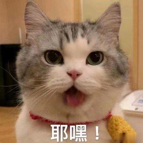  这个确实会上头，不过我现在换了冰箱后就没有贴了，原因是我冰箱面板是玻璃材质的，