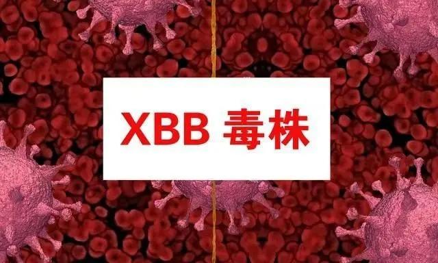
大家对于第二波疫情的担忧，就像总不落地的靴子，感觉它会来，但就是听不到落地的声