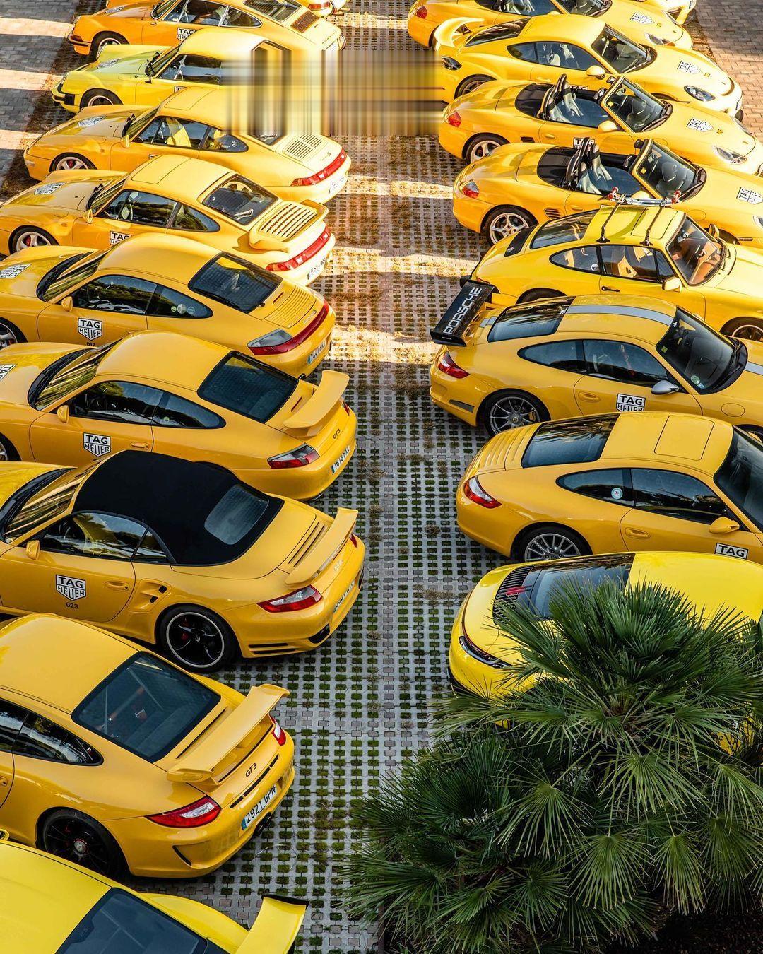 保时捷911 “出租车”队，极速速递 ​​​