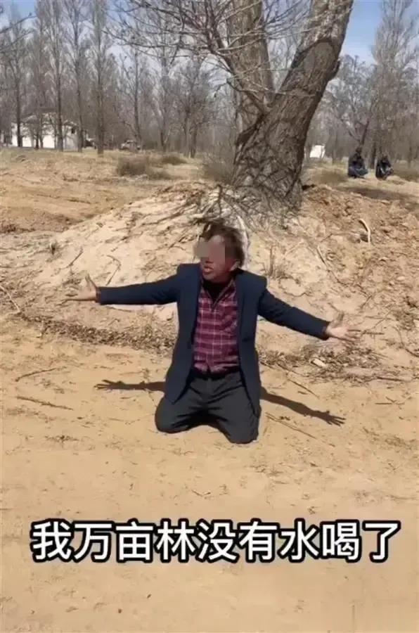有人说，孙国友种树是为了挣钱，还说煤矿公司当初已经赔偿他八百万，是他贪心不足。我