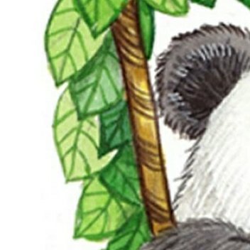 #熊猫守护者[超话]#我们不可能拥有完美的生活，一路上难免会有坎坷。当我们学会接
