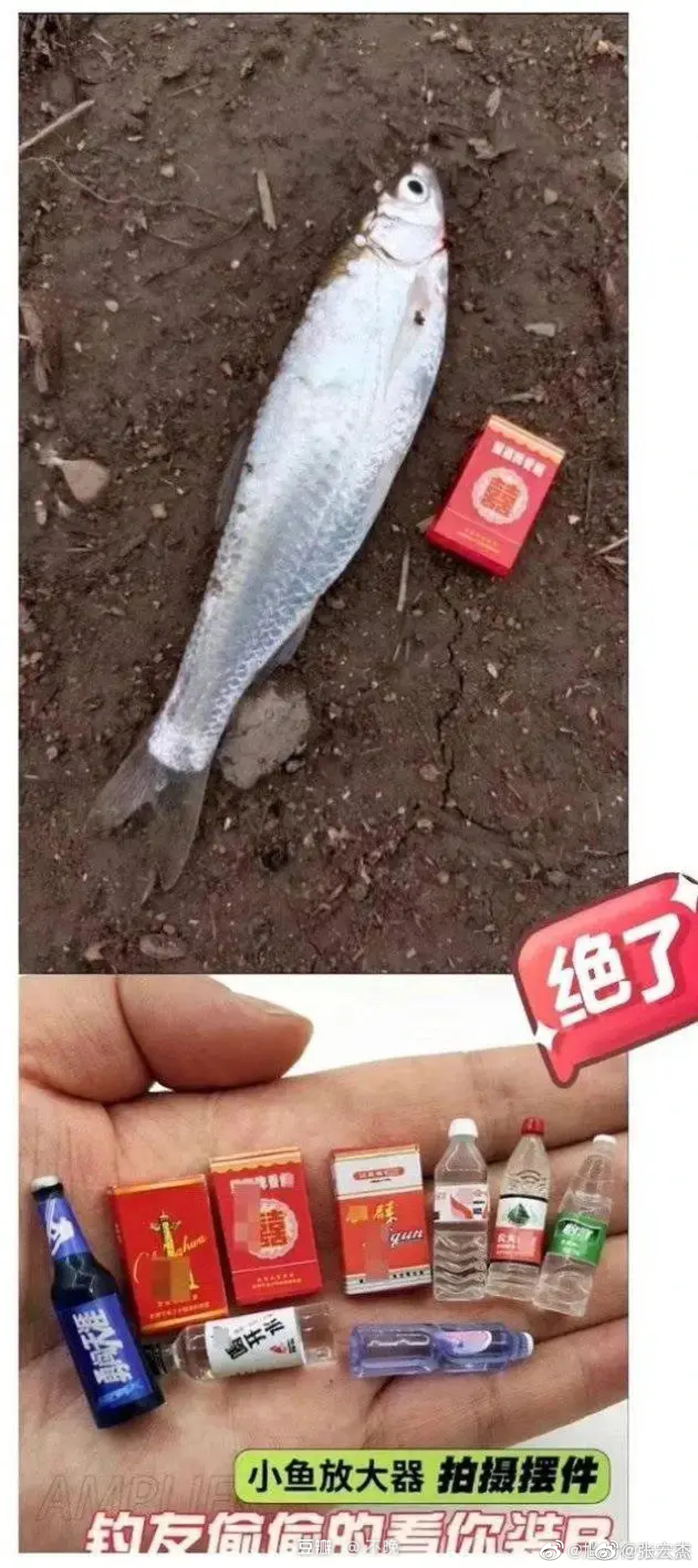 钓鱼神器，高手必备。 ​​​