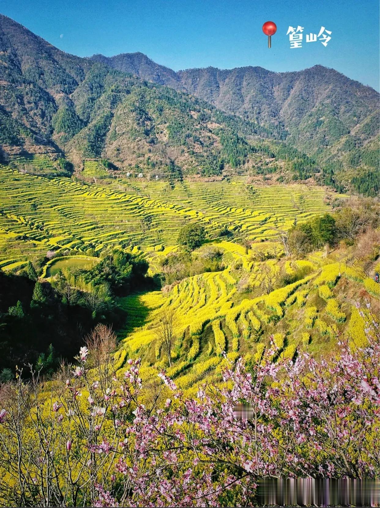 篁岭到底有没有必要去？我的答案是no
婺源四日游结束，我把精华景点篁岭留在了最后