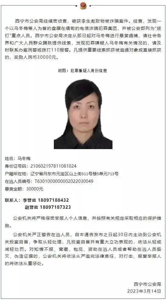 缅甸割腰子团伙头目叫马冬梅，
辽宁人，现在被悬赏3万元通缉！
她的眼神，隔着屏幕