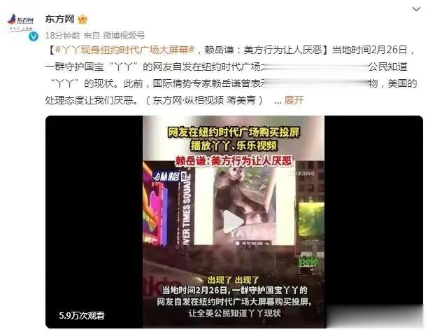 熊猫丫丫霸占纽约时代广场大屏，外交部回应相关手续检疫和入关手续已办妥
现在的丫丫