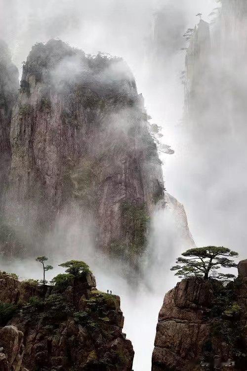 贾晓俊：中医排石好方，治疗泌尿