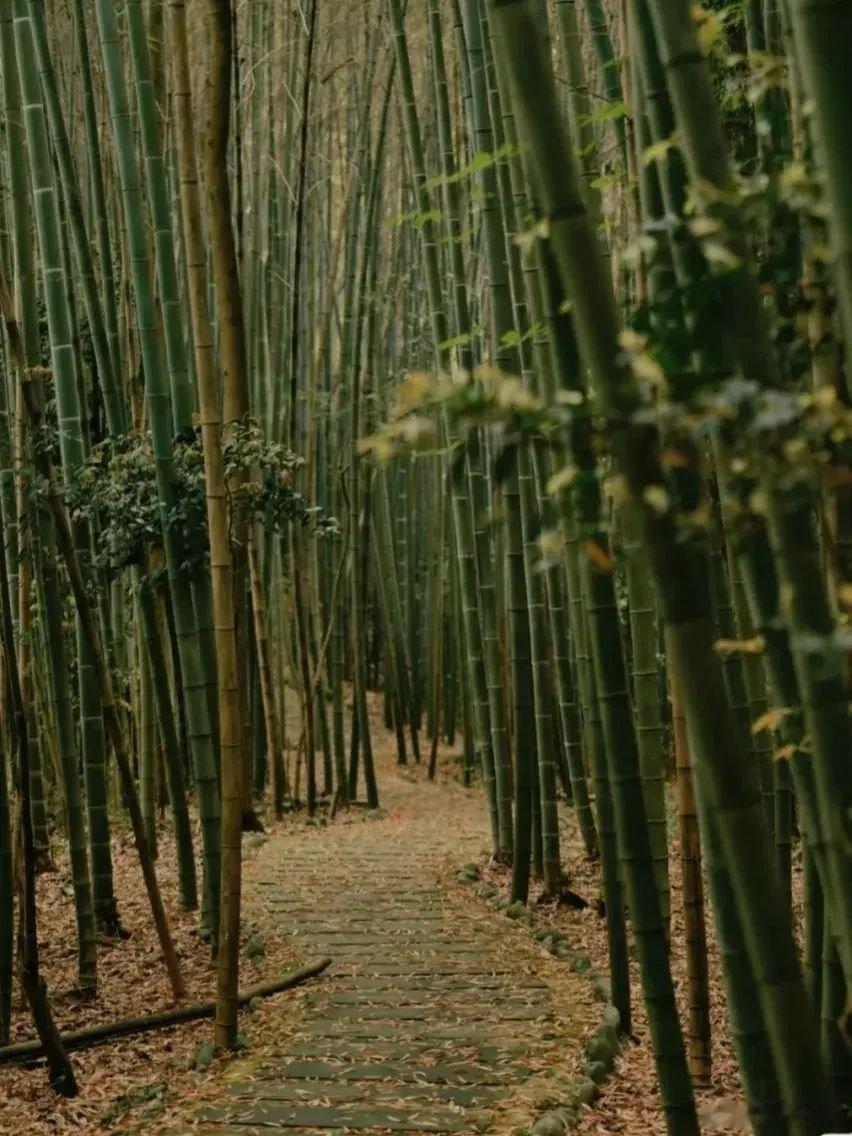 我觉得五一有空的，一定要多出去看看，不要整天窝在家里那样冲浪，都把自己冲废了[舔