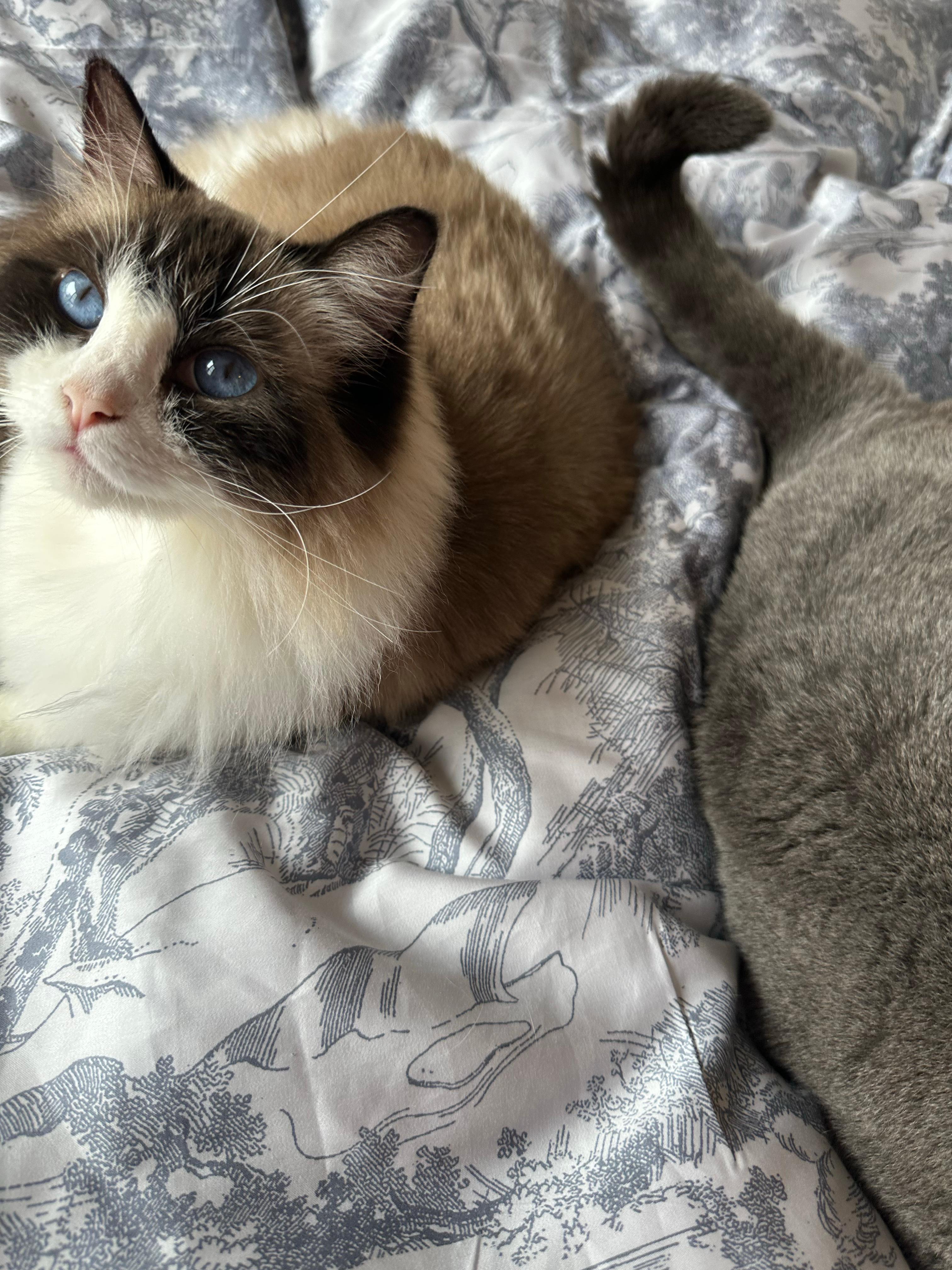 通勤日常🎫 ​​​